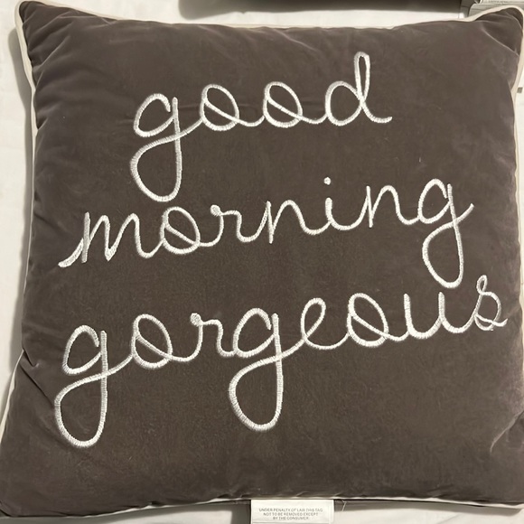 3 pc set Grey Velvet Accent Pillows - Picture 1 of 3